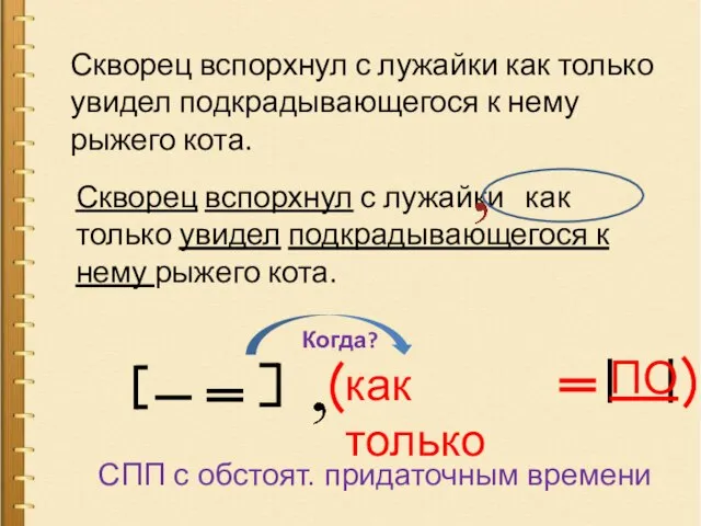 Скворец вспорхнул с лужайки как только увидел подкрадывающегося к нему рыжего кота.