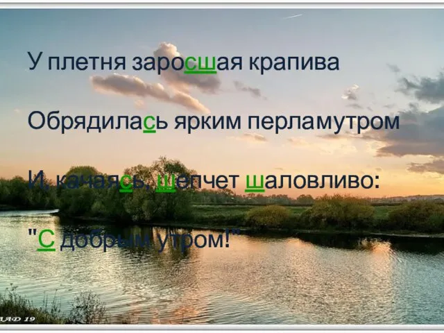 У плетня заросшая крапива Обрядилась ярким перламутром И, качаясь, шепчет шаловливо: "С добрым утром!"