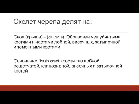 Скелет черепа делят на: Свод (крыша) – (calvaria). Образован чешуйчатыми костями и