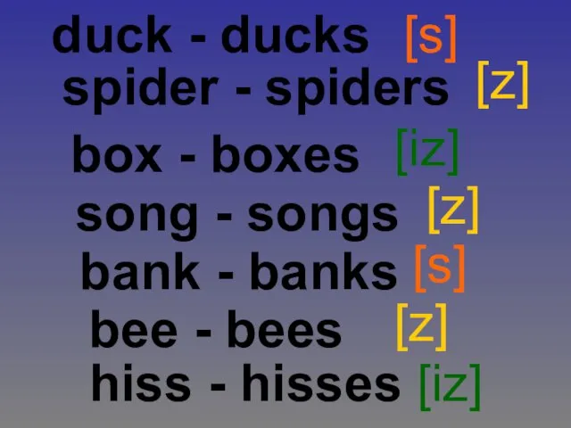 duck - ducks spider - spiders box - boxes song - songs