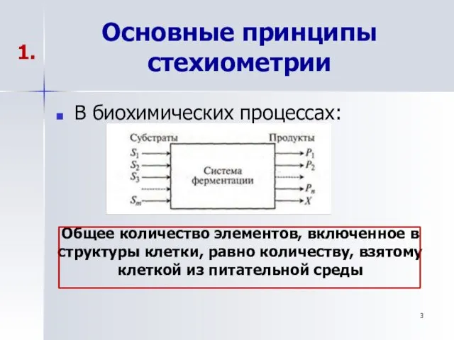 Основные принципы стехиометрии В биохимических процессах: Общее количество элементов, включенное в структуры