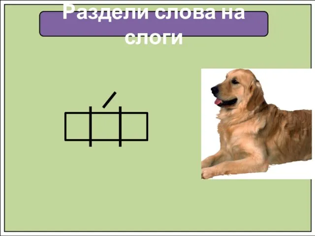 Раздели слова на слоги