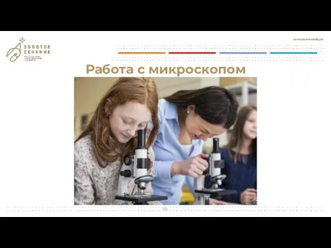 Работа с микроскопом