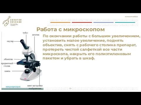 Работа с микроскопом По окончании работы с большим увеличением, установить малое увеличение,