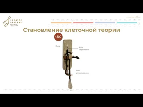 Становление клеточной теории