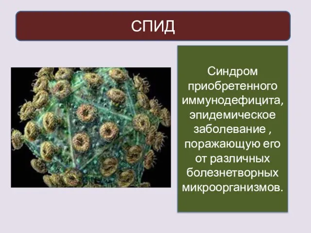 СПИД Синдром приобретенного иммунодефицита, эпидемическое заболевание , поражающую его от различных болезнетворных микроорганизмов.