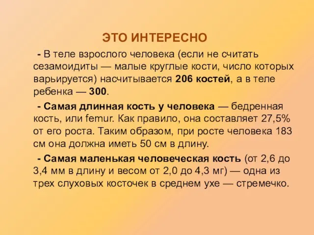 - В теле взрослого человека (если не считать сезамоидиты — малые круглые