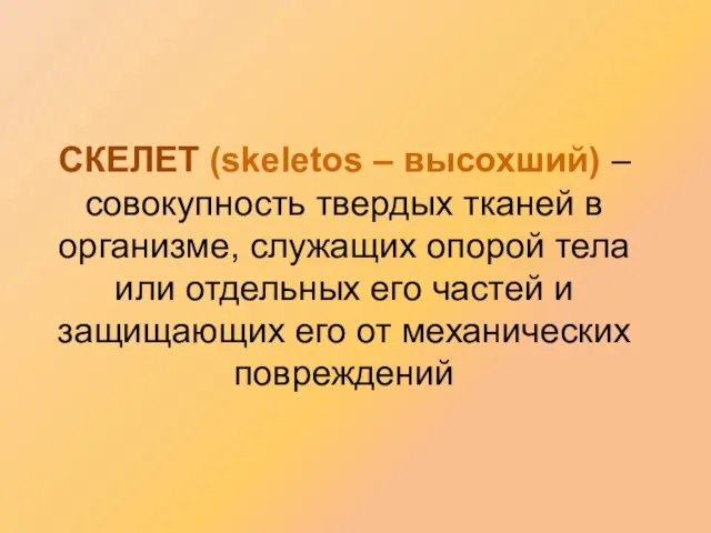 СКЕЛЕТ (skeletos – высохший) – совокупность твердых тканей в организме, служащих опорой