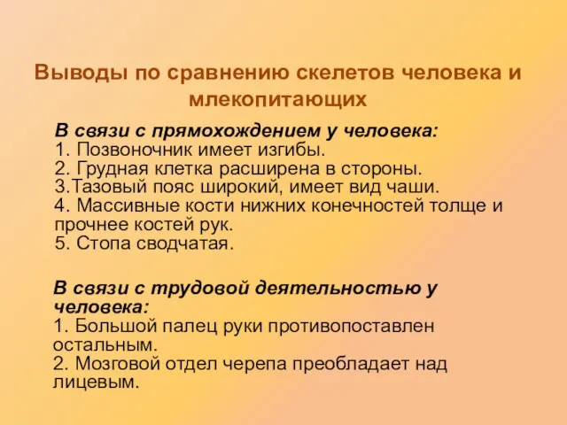 В связи с прямохождением у человека: 1. Позвоночник имеет изгибы. 2. Грудная