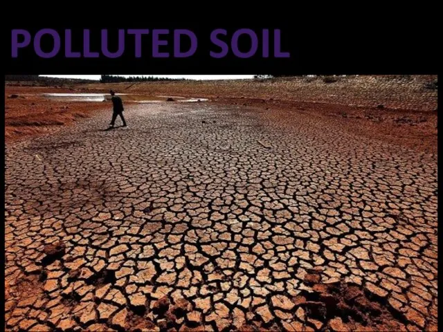 POLLUTED SOIL