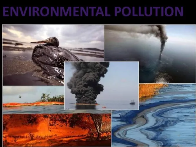 ENVIRONMENTAL POLLUTION