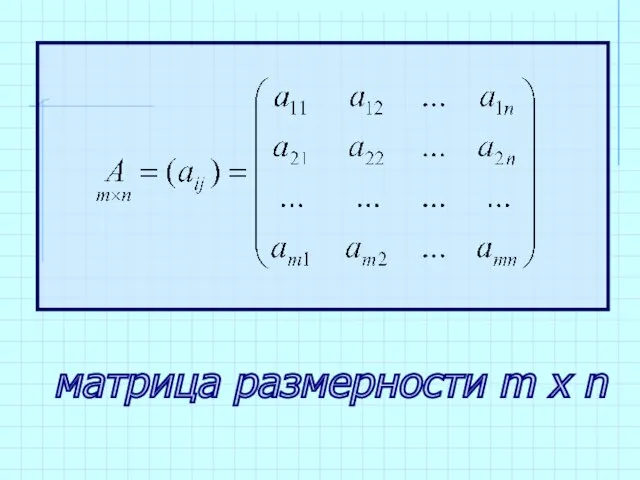 матрица размерности m x n