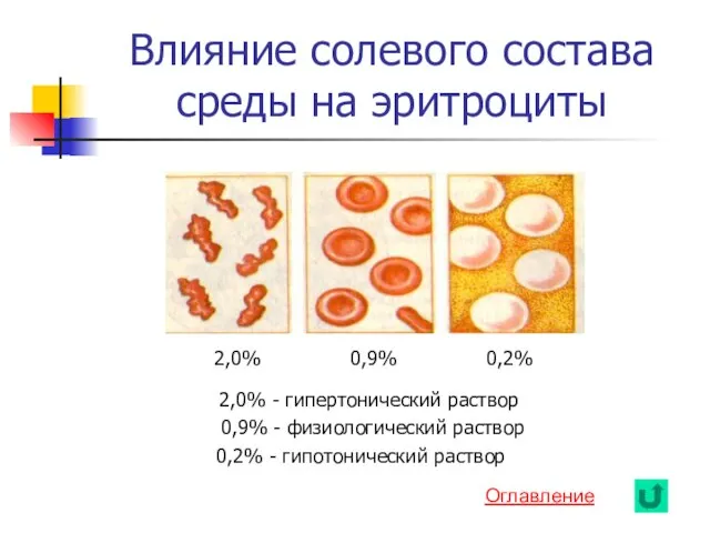 Влияние солевого состава среды на эритроциты 2,0% 0,9% 0,2% 2,0% - гипертонический