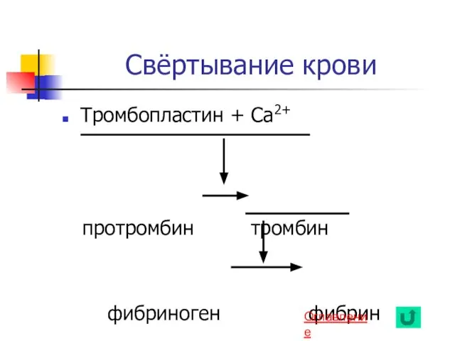 Свёртывание крови Тромбопластин + Са2+ протромбин тромбин фибриноген фибрин Оглавление