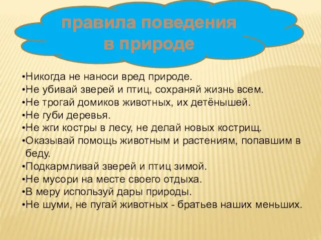 правила поведения в природе Никогда не наноси вред природе. Не убивай зверей