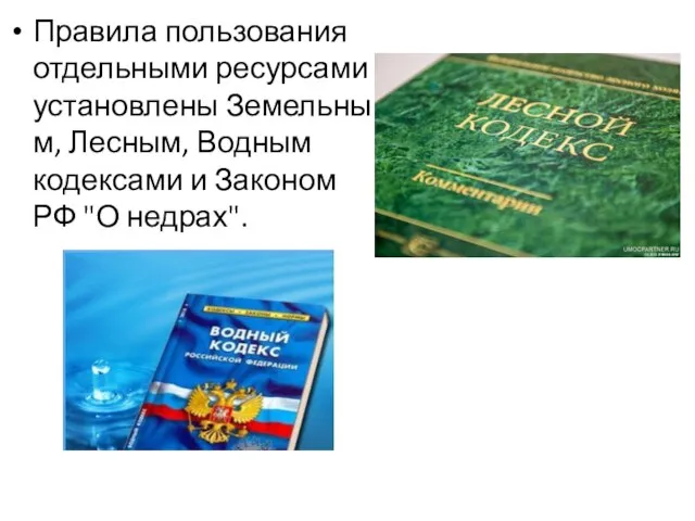 Правила пользования отдельными ресурсами установлены Земельным, Лесным, Водным кодексами и Законом РФ "О недрах".