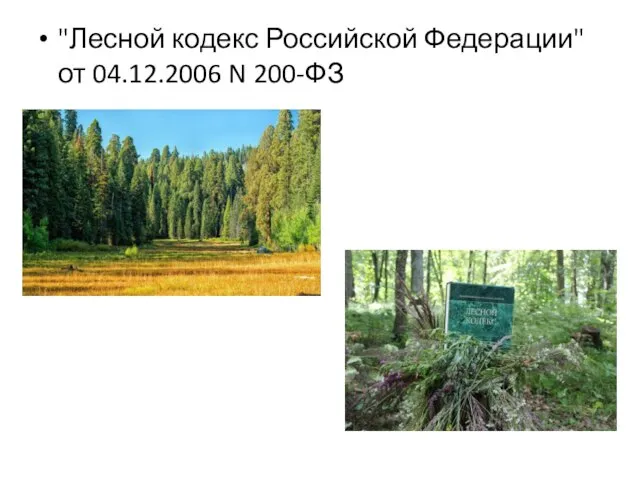 "Лесной кодекс Российской Федерации" от 04.12.2006 N 200-ФЗ