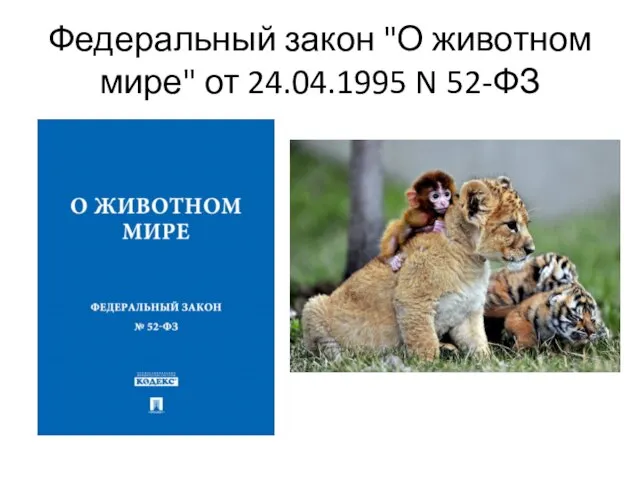 Федеральный закон "О животном мире" от 24.04.1995 N 52-ФЗ