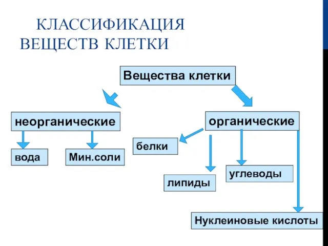 КЛАССИФИКАЦИЯ ВЕЩЕСТВ КЛЕТКИ Вещества клетки неорганические органические вода Мин.соли белки липиды углеводы Нуклеиновые кислоты