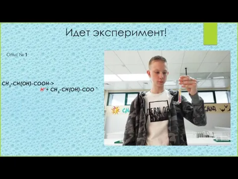 Идет эксперимент! CH3-CH(OH)-COOH-> H++ CH3-CH(OH)-COOˉ Опыт № 1