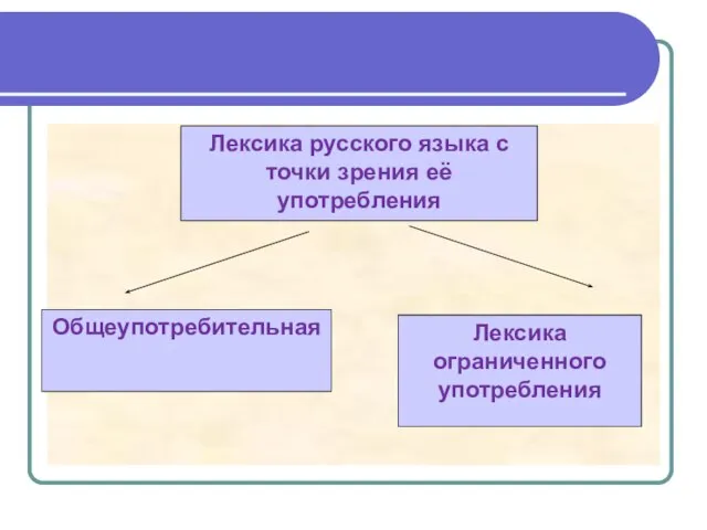 Общеупотребительная Лексика ограниченного употребления Лексика русского языка с точки зрения её употребления