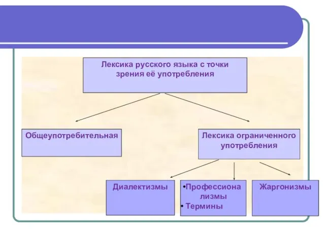 Общеупотребительная Лексика ограниченного употребления Лексика русского языка с точки зрения её употребления Диалектизмы Профессионализмы Термины Жаргонизмы