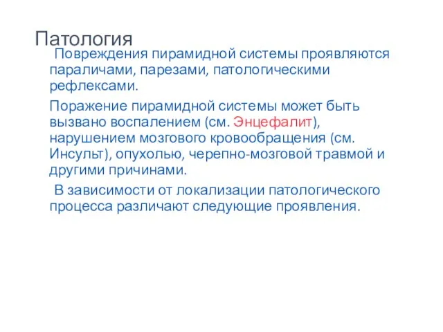 Патология Повреждения пирамидной системы проявляются параличами, парезами, патологическими рефлексами. Поражение пирамидной системы