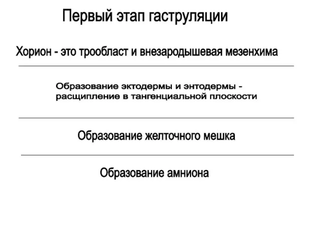 Первый этап гаструляции Хорион - это трообласт и внезародышевая мезенхима Образование эктодермы