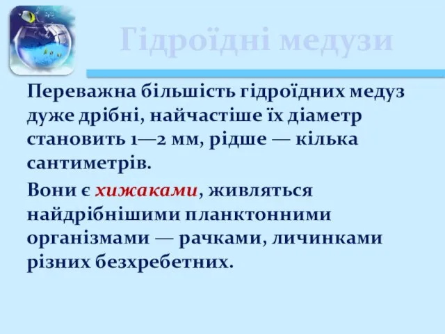 Гідроїдні медузи Переважна більшість гідроїдних медуз дуже дрібні, найчастіше їх діаметр становить