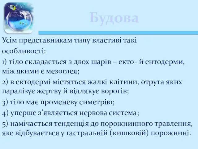 Будова Усім представникам типу властиві такі особливості: 1) тіло складається з двох