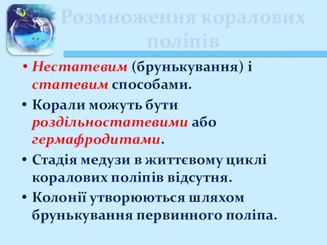 Розмноження коралових поліпів Нестатевим (брунькування) і статевим способами. Корали можуть бути роздільностатевими