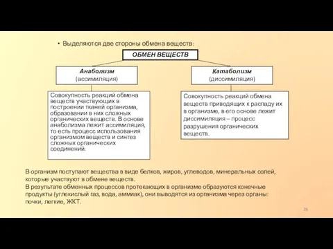 Выделяются две стороны обмена веществ: ОБМЕН ВЕЩЕСТВ Анаболизм (ассимиляция) Катаболизм (диссимиляция) Совокупность