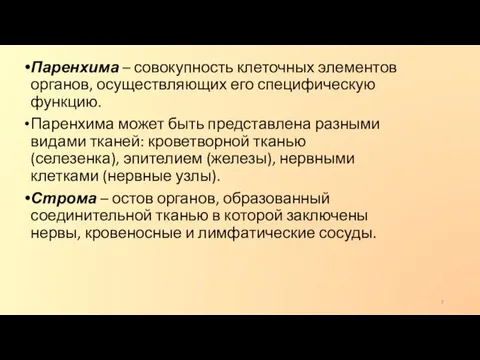 Паренхима – совокупность клеточных элементов органов, осуществляющих его специфическую функцию. Паренхима может