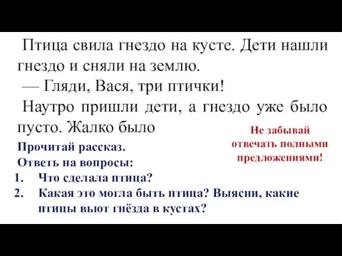 Птица свила гнездо на кусте. Дети нашли гнездо и сняли на землю.