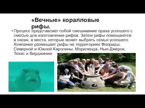 «Вечные» коралловые рифы. Процесс представляет собой смешивание праха усопшего с смесью для