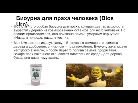 Биоурна для праха человека (Bios Urn). Bios Urn – это особая биоурна