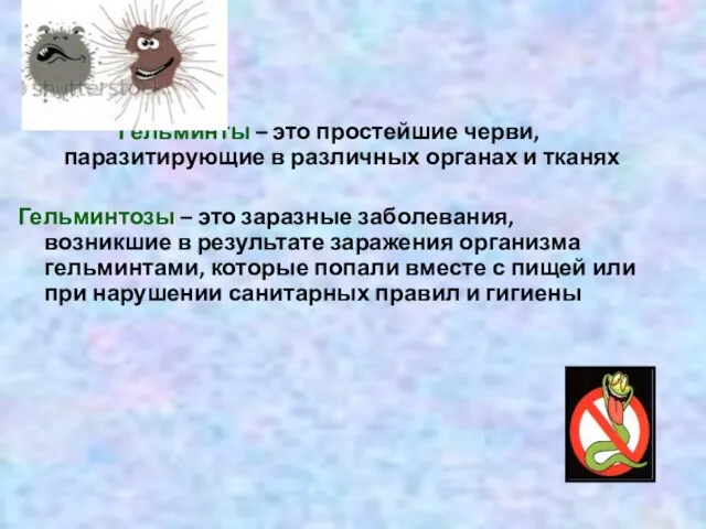 Гельминты – это простейшие черви, паразитирующие в различных органах и тканях Гельминтозы