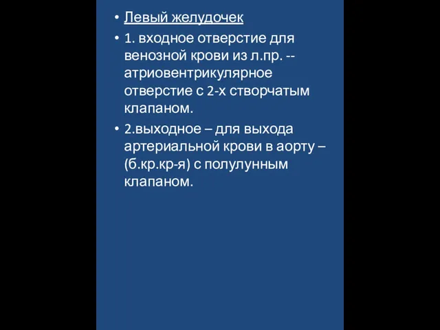 Левый желудочек 1. входное отверстие для венозной крови из л.пр. -- атриовентрикулярное