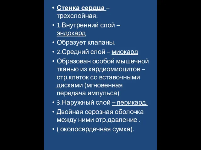 Стенка сердца – трехслойная. 1.Внутренний слой – эндокард Образует клапаны. 2.Средний слой