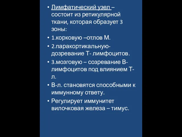 Лимфатический узел – состоит из ретикулярной ткани, которая образует 3 зоны: 1.корковую