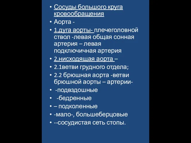 Сосуды большого круга кровообращения Аорта - 1.дуга аорты- плечеголовной ствол -левая общая