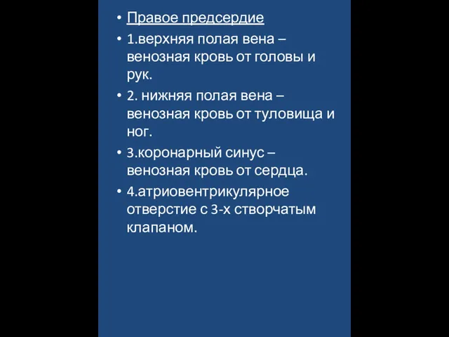 Правое предсердие 1.верхняя полая вена – венозная кровь от головы и рук.