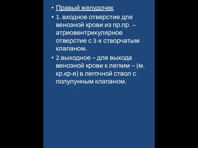 Правый желудочек 1. входное отверстие для венозной крови из пр.пр. -- атриовентрикулярное