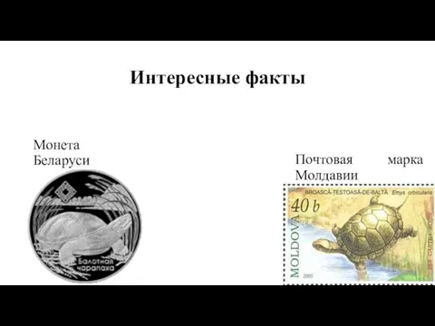 Интересные факты Монета Беларуси Почтовая марка Молдавии