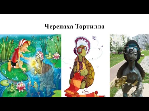 Черепаха Тортилла