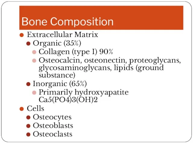 Bone Composition Extracellular Matrix Organic (35%) Collagen (type I) 90% Osteocalcin, osteonectin,