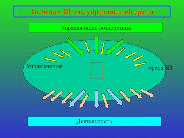 Значение ЗП как управляющей среды  Управляющие воздействия Деятельность Управляющая среда ЗП