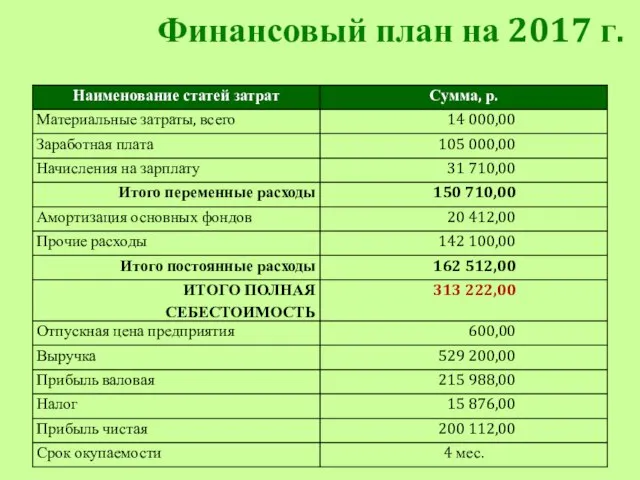 Финансовый план на 2017 г.