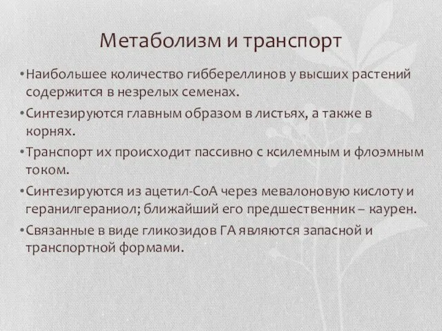 Метаболизм и транспорт Наибольшее количество гиббереллинов у высших растений содержится в незрелых