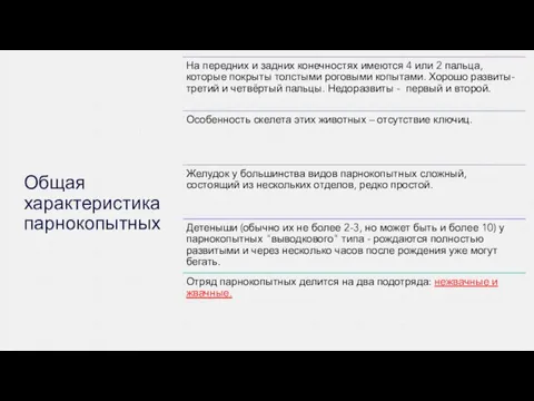 Общая характеристика парнокопытных